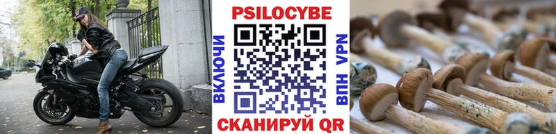 Галлюциногенные грибы прущие грибы  даркнет Telegram  Прохладный 