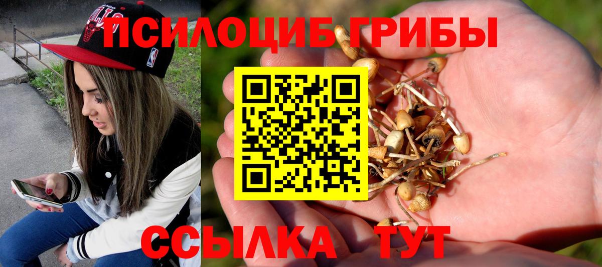 Прохладный  Галлюциногенные грибы мицелий  Вход с VPN 