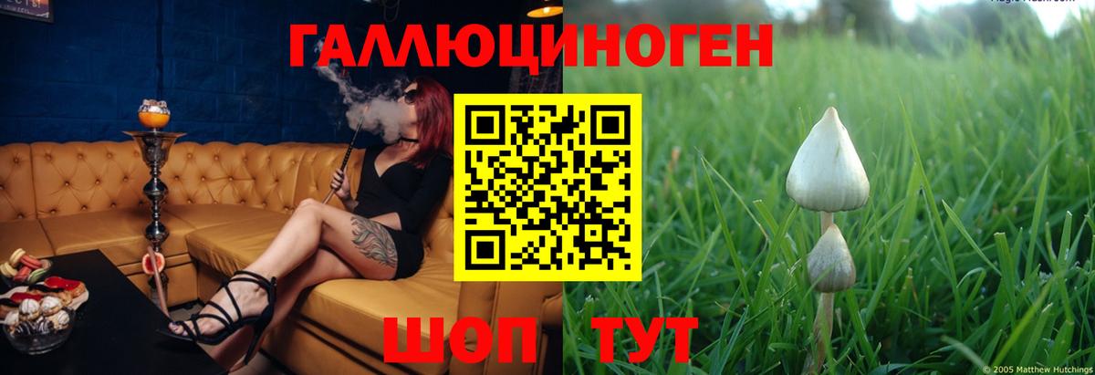 Псилоцибиновые грибы MAGIC MUSHROOMS Прохладный