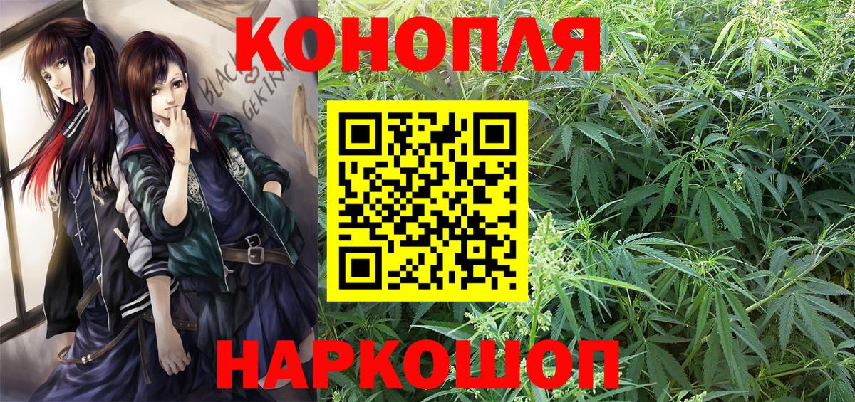 Канабис сатива Прохладный